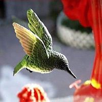 Fly-Thru Window Magnets